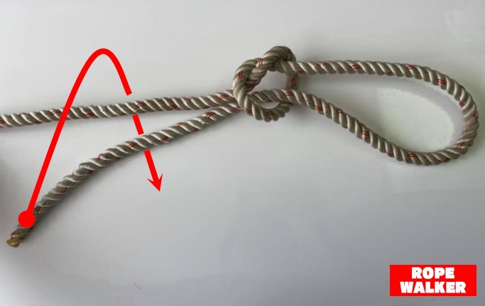 『イングリッシュマンズ・ノット：二重引き解け結び』の結び方を写真付きで紹介